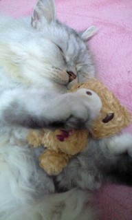 2012-01-09T17_41_55-1.jpg