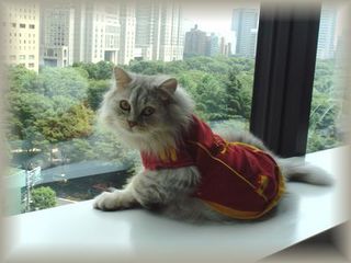 画像 327.jpg